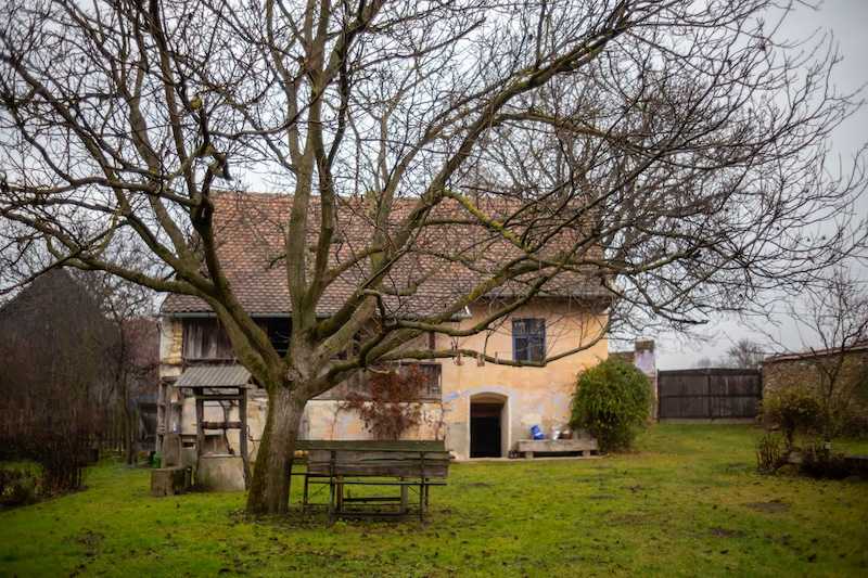 Avis avant achat immobilier